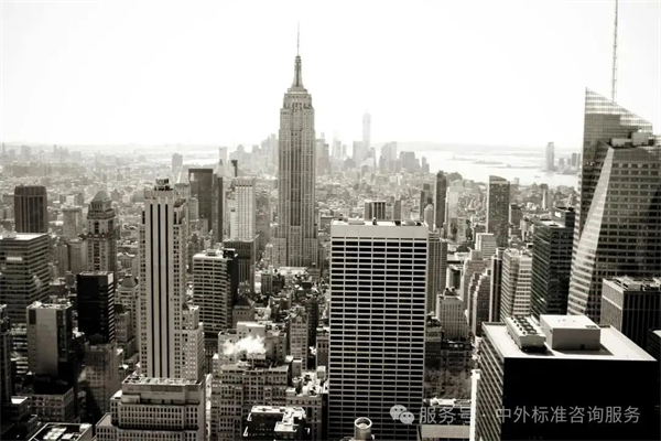 1754966956617455.jpg 6.jpg