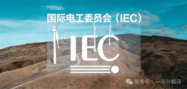 中外標(biāo)準咨詢服務(wù)