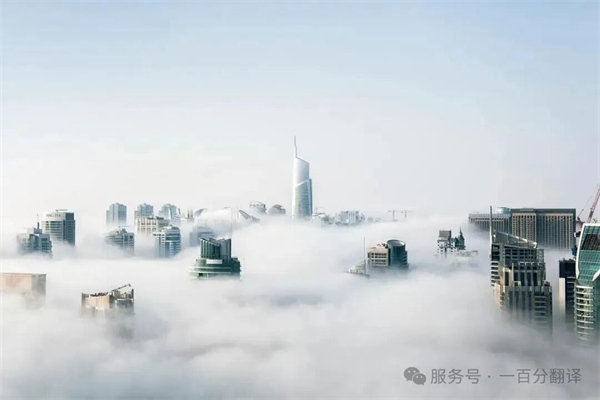 中外標(biāo)準咨詢服務(wù)